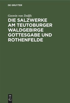 Die Salzwerke am Teutoburger Waldgebirge Gottesgabe und Rothenfelde - Dolffs, Goswin von