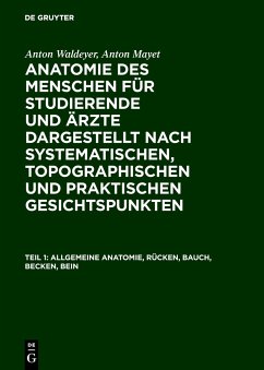 Allgemeine Anatomie, Rücken, Bauch, Becken, Bein - Waldeyer, Anton;Mayet, Anton