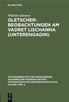 Gletscherbeobachtungen am Vadret Lischanna (Unterengadin) - Salomon, Wilhelm