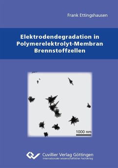 Elektrodendegradation in Polymarelektrolyt-Membran Brennstoffzellen - Ettingshausen, Frank