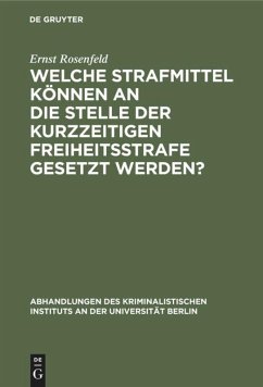 Welche Strafmittel können an die Stelle der kurzzeitigen Freiheitsstrafe gesetzt werden? - Rosenfeld, Ernst