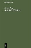 Julius Sturm