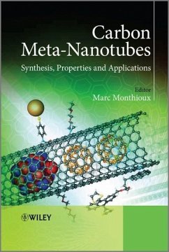 Carbon Meta-Nanotubes - Monthioux, Marc