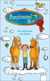 Das Glück hat vier Beine / Ponyhimmel Nr.7 Bd.1