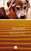 Strumpf - Aus dem Leben eines afrikanischen Hundes