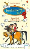 Super Glück im Doppelpack! / Ponyhimmel Nr.7 Bd.2