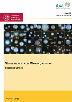 Stressantwort von Mikroorganismen - Schädel, Friederike