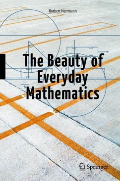 The Beauty of Everyday Mathematics - Herrmann, Norbert