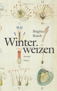 Winterweizen - Busch, Brigitta