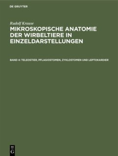Teleostier, Pflagiostomen, Zyklostomen und Leptokardier - Krause, Rudolf