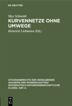 Cover Kurvennetze ohne Umwege