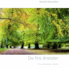 De fire årstider - Schneider, Henrik