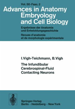 The Infundibular Cerebrospinal-Fluid Contacting Neurons - Vigh-Teichmann, I.; Vigh, B.