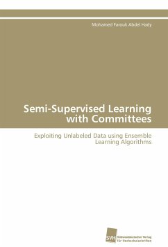 Semi-Supervised Learning with Committees - Abdel Hady, Mohamed Farouk