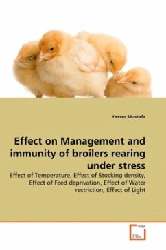 Effect on Management and immunity of broilers rearing under stress - Mustafa, Yasser