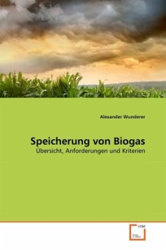 Speicherung von Biogas - Wunderer, Alexander