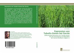 Expression von Tubulin-Genen bei Gerste - Schröder, Jan