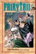 Fairy Tail V15 - Bild 1