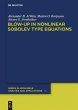 Blow-up in Nonlinear Sobolev Type... - Bild 1