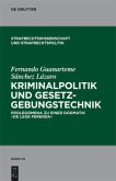 Kriminalpolitik und Gesetzgebungstechnik