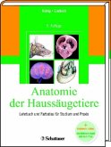 Anatomie der Haussäugetiere