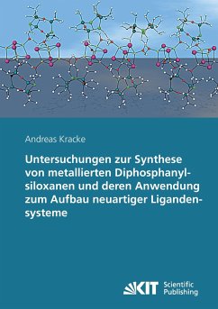 Untersuchungen zur Synthese von metallierten Diphosphanylsiloxanen und deren Anwendung zum Aufbau neuartiger Ligandensysteme - Kracke, Andreas