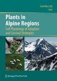 Plants in Alpine Regions