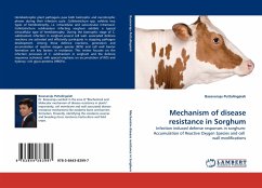 Mechanism of disease resistance in Sorghum