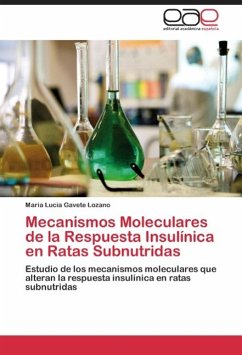 Mecanismos Moleculares de la Respuesta Insulínica en Ratas Subnutridas - GAVETE LOZANO, MARIA LUCIA