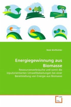 Energiegewinnung aus Biomasse - Wolfkühler, Maik