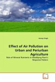 Effect of Air Pollution on Urban and Periurban Agriculture