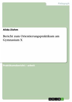 Bericht zum Orientierungspraktikum am Gymnasium X - Ziehm, Alida