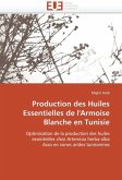 Production Des Huiles Essentielles de l'Armoise Blanche En Tunisie Production Des Huiles Essentielles de l'Armoise Blanche En Tunisie