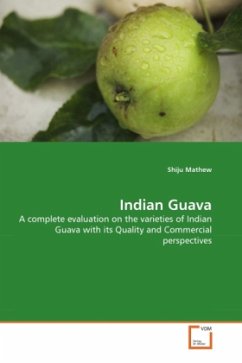 Indian Guava - Mathew, Shiju