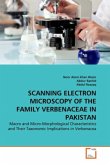 SCANNING ELECTRON MICROSCOPY OF THE FAMILY VERBENACEAE IN PAKISTAN