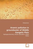 Arsenic pollution in groundwater of Middle Gangetic Plain