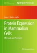 Protein Expression in Mammalian Cells - Bild 1