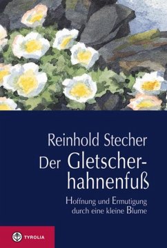 Der Gletscherhahnenfuß - Stecher, Reinhold