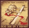 Dead Dog On A Highway - Bild 1