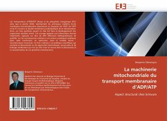 La machinerie mitochondriale du transport membranaire d¿ADP/ATP - Clémençon, Benjamin