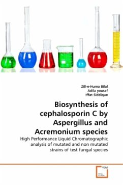 Biosynthesis of cephalosporin C by Aspergillus and Acremonium species - Bilal, Zill-e-Huma;Yousaf, Adila;Siddique, Iffat