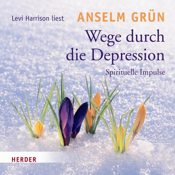Wege durch die Depression (MP3-Download) von Anselm Grün - Hörbuch bei  bücher.de runterladen