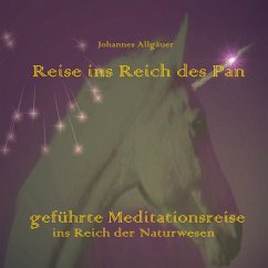 Reise ins Reich des Pan (MP3-Download) - Allgäuer, Johannes