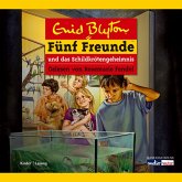 Fünf Freunde und das Schildkrötengeheimnis / Fünf Freunde Bd.55 (MP3-Download)