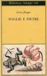 Cover Foglie e pietre