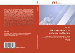 Microstructure d'un matériau multiphasé - Samet, Lolwa