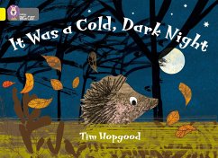 It Was a Cold Dark Night - Hopgood, Tim