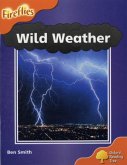 Oxford Reading Tree: Level 6: Wild Weather