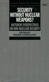 Security Without Nuclear Weapons?: Different Perspectives on Non-Nuclear Security