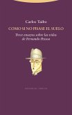 Como si no pisase el suelo : trece ensayos sobre las vidas de Fernando Pessoa